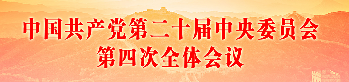 学习贯彻党的二十届四中全会精神