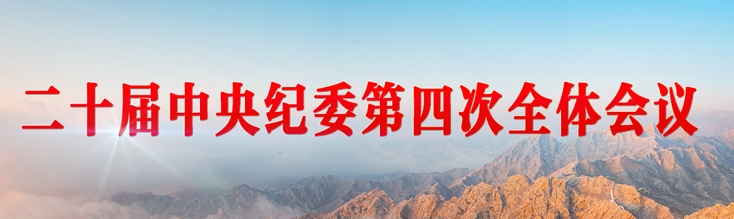 二十届中央纪委第四次全体会议